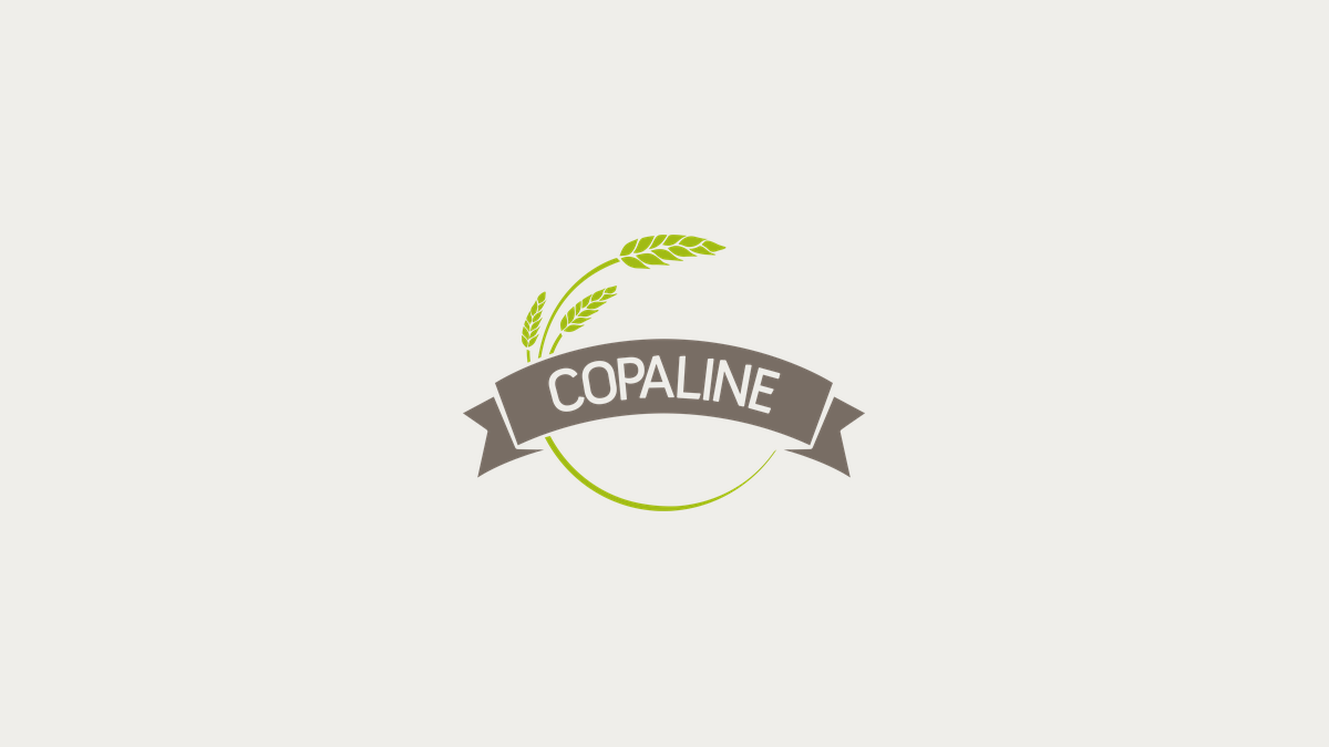 Maison Coquilleau